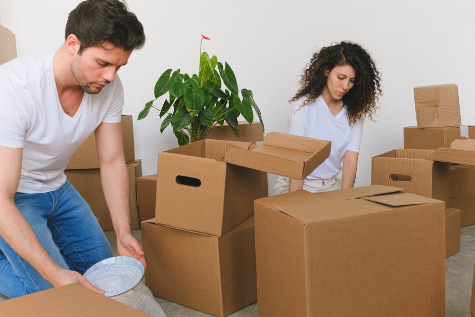 A man and woman are pictured inside a home surrounded by numerous cardboard moving boxes, some of which are open and filled with household items. The man, wearing a white t-shirt and blue jeans, is kneeling on the floor, carefully placing a ceramic plate into a bubble wrap wrap for protection during transportation. The woman, dressed in a light-colored top, stands nearby, looking down at the boxes and packing materials, with her hands resting on her hips. Behind them, there is a large potted plant with broad green leaves, situated against a plain white wall, indicating the early stages of a home relocation process. The scene takes place in a well-lit interior, likely illuminated by natural light, and demonstrates typical packing and loading activities associated with professional removals services provided by Removal Company Barnes, preparing household belongings for safe transport during a house move or furniture transport effort.